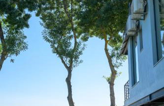 Bikini Apartments - Foto 37