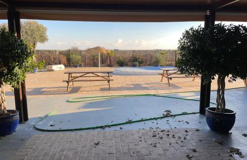 La casa del olivo - Foto 23