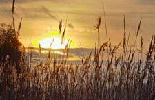 Ostoja Kamionki - Foto 17