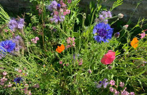 Trillow House, Clungunford, Ludlow - Foto 27