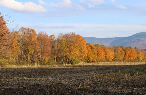 1820 House - VT Charm + Modern Comforts + Hot Tub - Foto 33