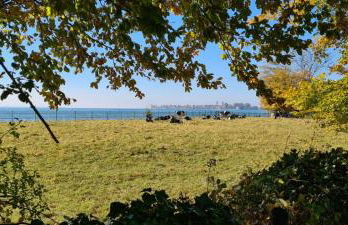 Landhaus Eibelesee - Foto 50