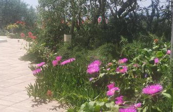 Apartman Franolic Punat - Foto 60