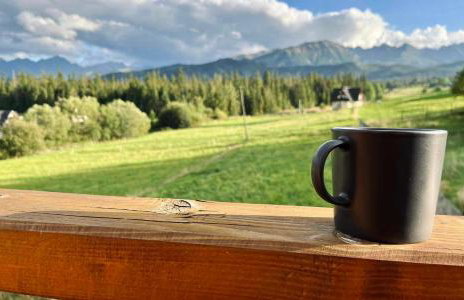 Góralski Domek Łopatówka z kominkiem i Banią - Jacuzzi! - Foto 39