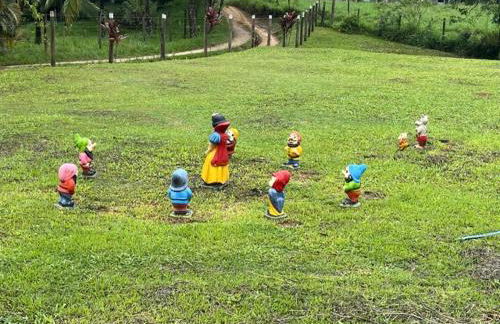 Chácara Belas Águas - Foto 20