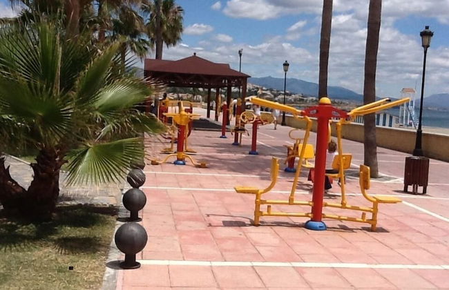 Finca Baeza Flores - Photo 10