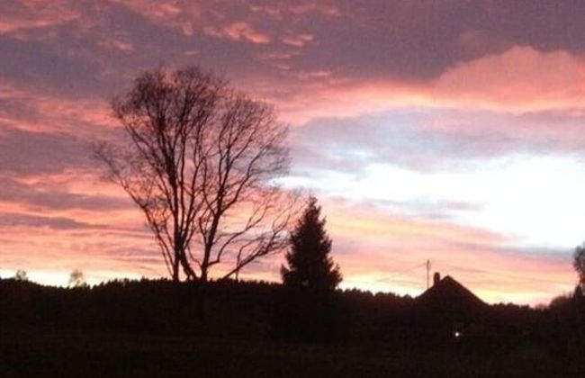 Holiday Apartment Schupp - Foto 19