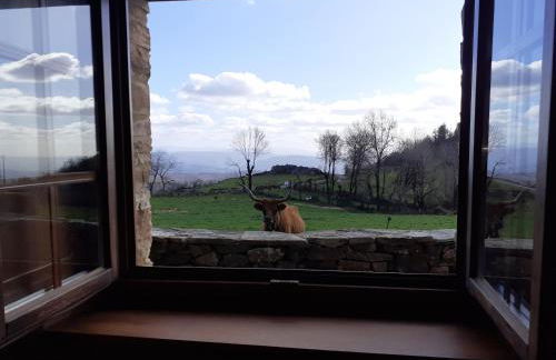 O Busto Aldea Rural - Foto 20