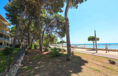 LITORAL COSTA DORADA - MIRAMAR Only families - Photo 31