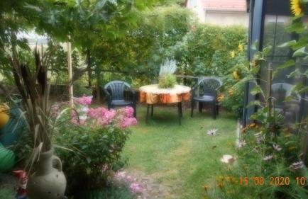 Vermiete sehr schönes Apartment in Dankerode im Harz - Foto 9