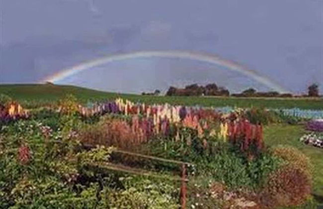 Boat Harbour Garden Cottages - Foto 58