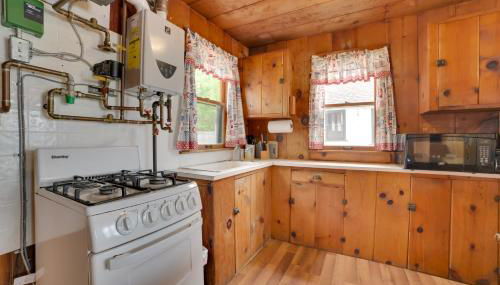 Dock Access and Grill! Resort Cabin 9 in Cedarville - Photo 5