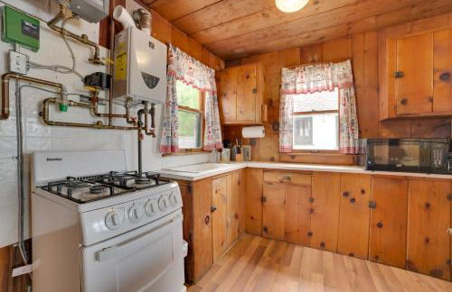 Dock Access and Grill! Resort Cabin 9 in Cedarville - Photo 5