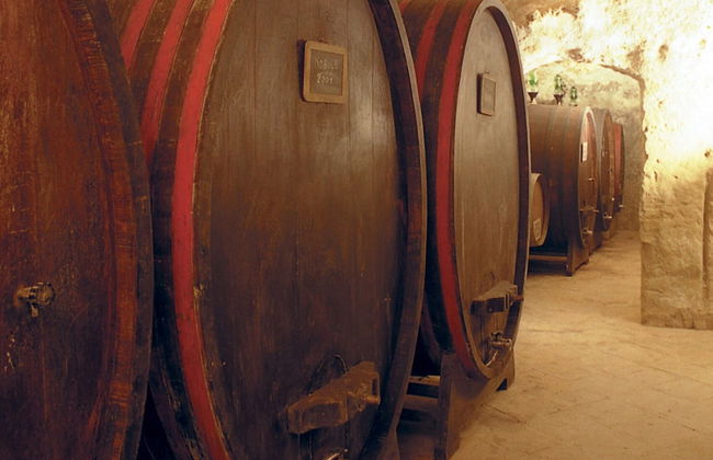 Tenuta S. Agnese - Photo 35