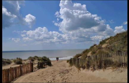 Saltwater Cottage - Foto 34