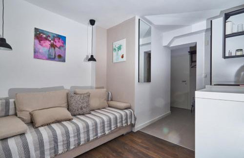 Aspidistra Shadow - Foto 7