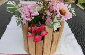 Stara Iža - Foto 23