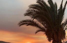 JET, luxury appartment 20m from the beach - Foto 28