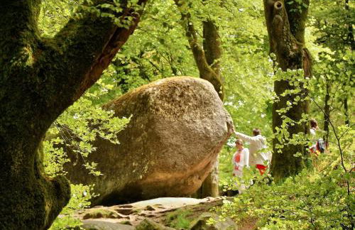 Holiday Home in Huelgoat near Monts d'Arrée - Foto 28