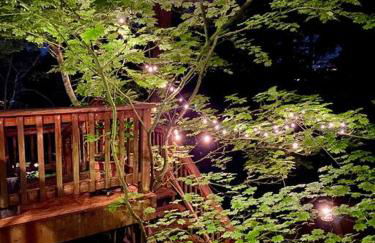 Forest Gallery- Mid-Century Modern With City Views - Photo 41