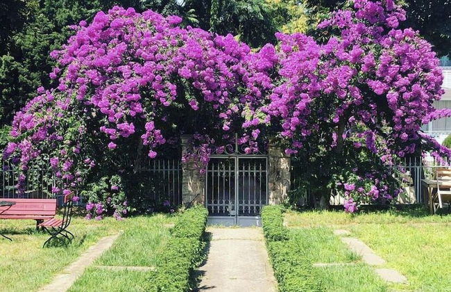 Rasimbey Köşkü - Foto 8