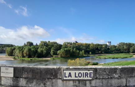 Studio indépendant avec jardin - Photo 14