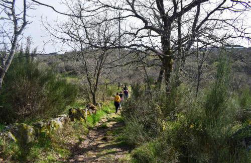 Casa da Escola By Villa Regalenga - Foto 17