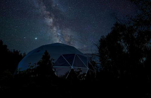 Zen Zion Evergreen Dome - Photo 41