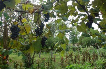 Apartment Mia - Foto 60