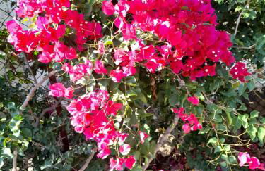 Matoula House - Foto 1