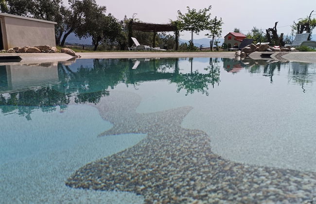 MADRE TERRA - Foto 17