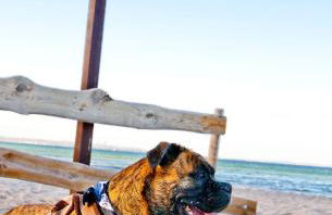 Ferienwohnung Ella - Foto 14