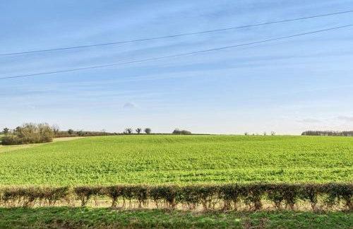 Pinkleton - Photo 23