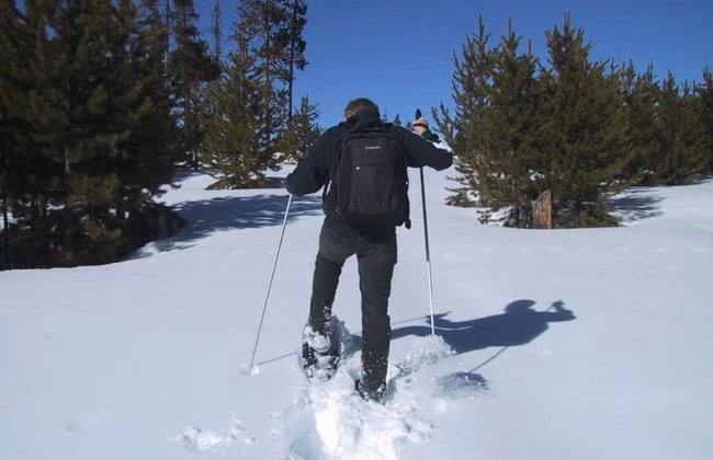 Snowshoe Trek - Photo 6