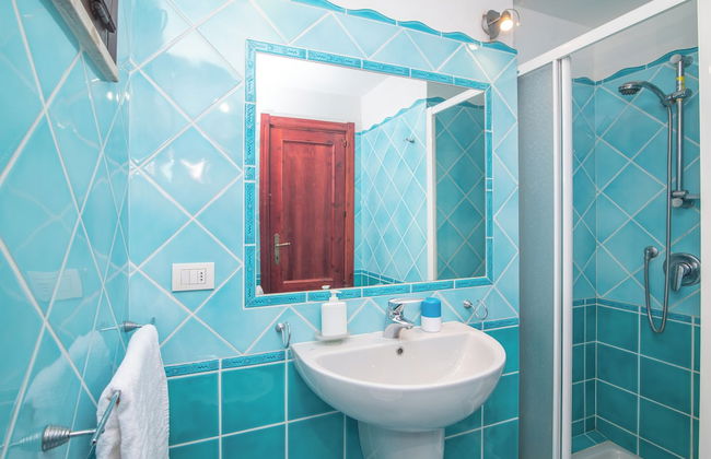 Mono Calamaro Eucalyptus 242 - Foto 8