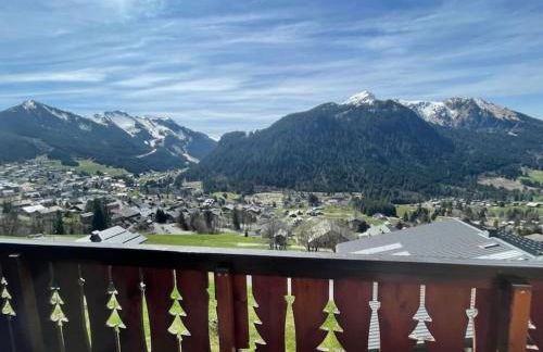 Les Vues de Lily - Châtel - Foto 6