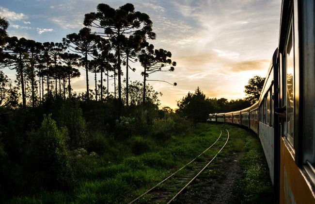 Morretes & Antonina Day Trip by Train - Photo 6
