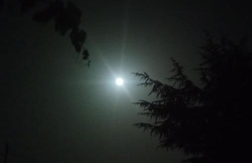 Etna, salvia e rosmarino - Foto 35