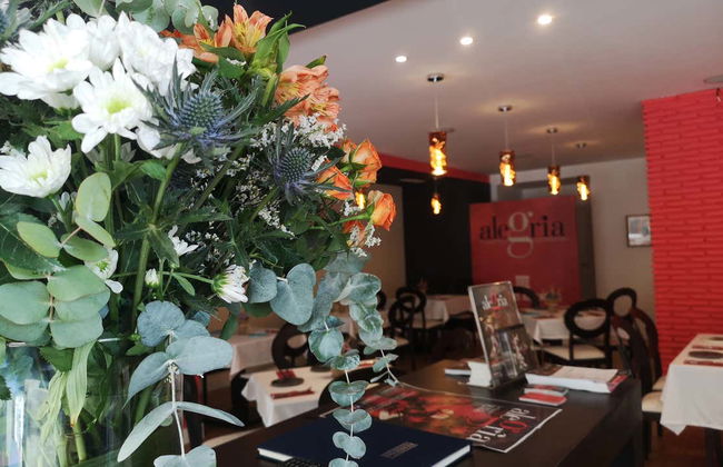 Espetáculo de flamenco no Alegría - Foto 16