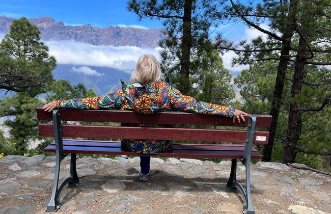 La Palma & Tajogaite Volcano Day Trip - Foto 5