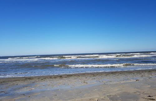 Seesternchen - Foto 19