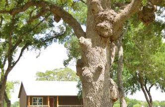 Vineyard Trail Cottages- Adults Only - Foto 60