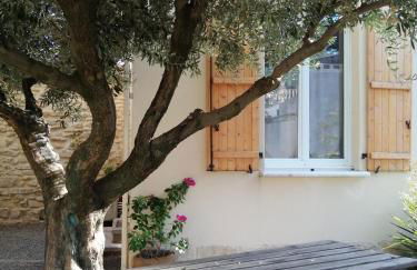 Les Gîtes sous l' Olivier en Camargue - Photo 24