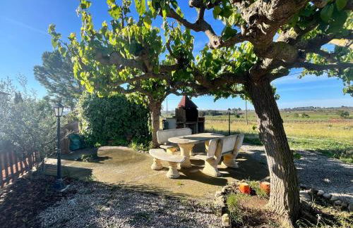 Cal Muntanyès - Foto 28