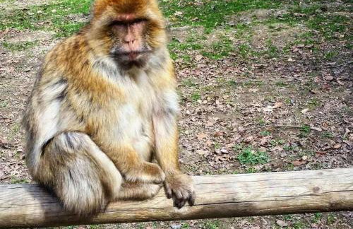 Holiday apartment in Salem with swimming pool - Foto 25