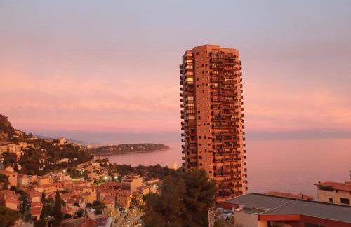 FRONTIÈRE MONACO - Foto 8