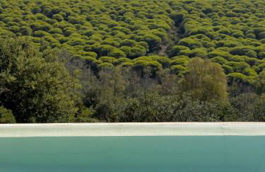 Stone House - Foto 8