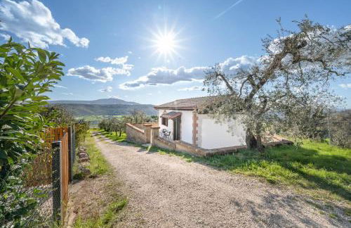 L' INCANTO - Foto 44