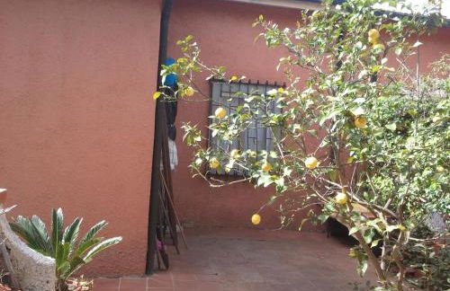 villetta nel verde vicino spiaggia - Foto 19