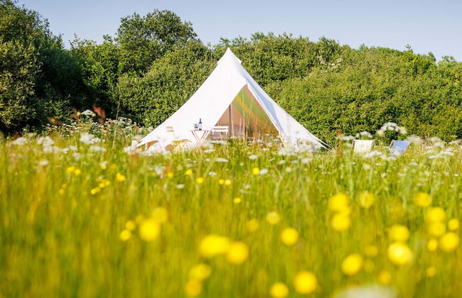 Old Pound Smithy - Foto 29